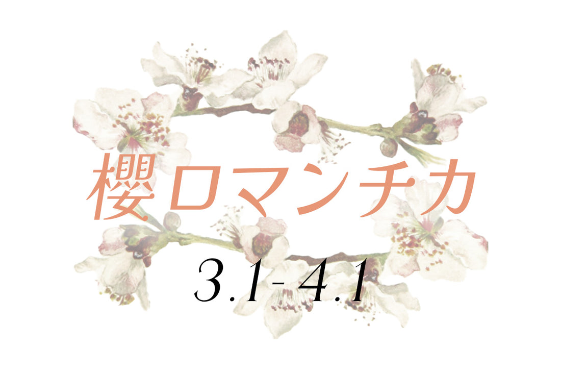 3月展示会『櫻ロマンチカ』